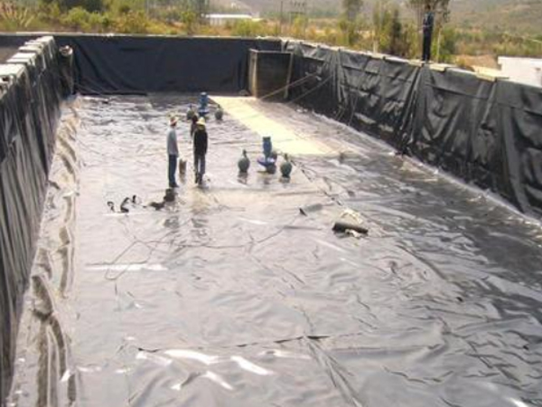 污水防滲池、蓄水池